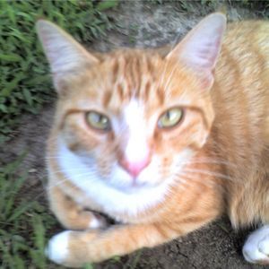 Meet your Posher, Barbara